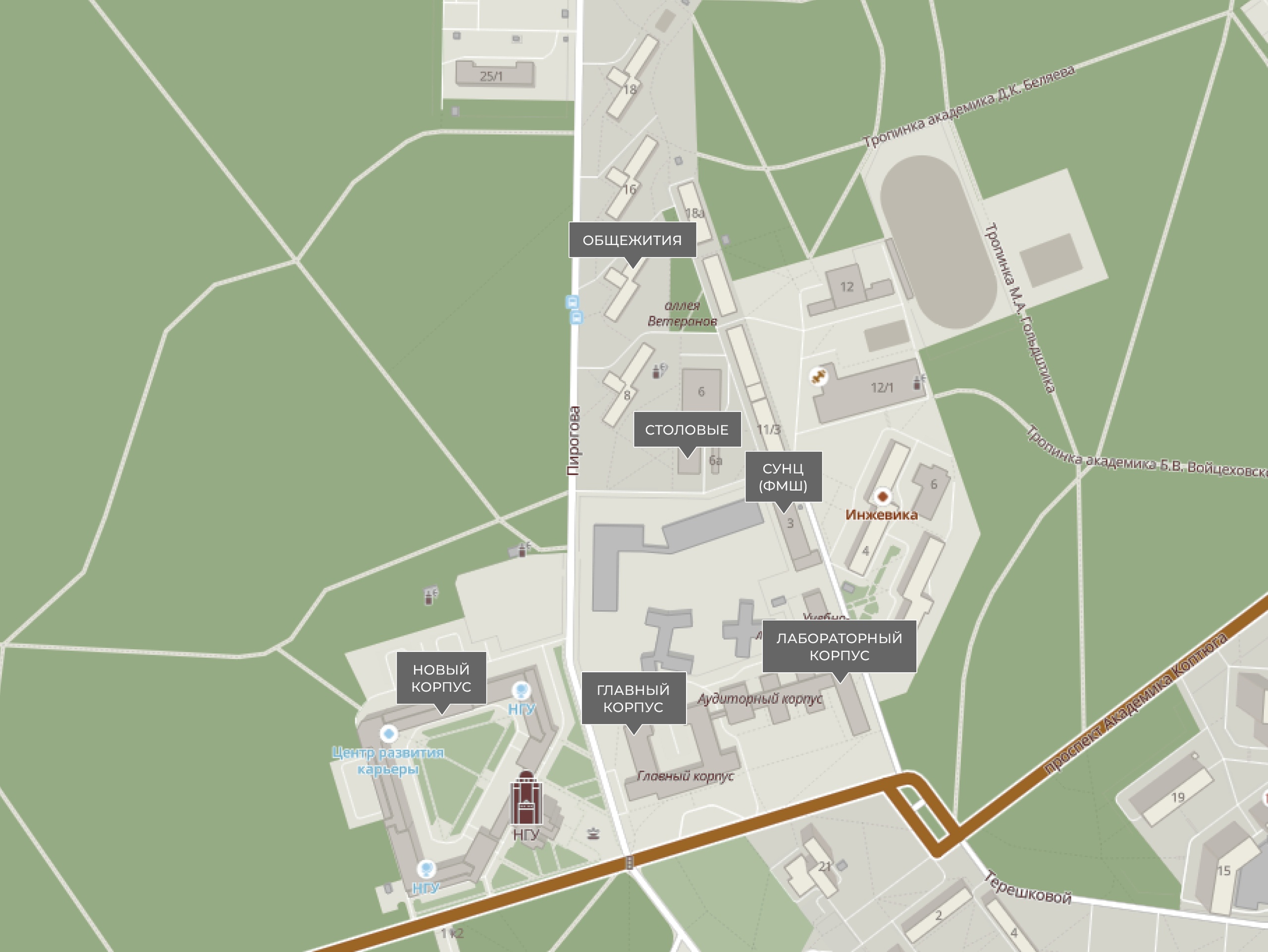 Компактный студгородок НГУ